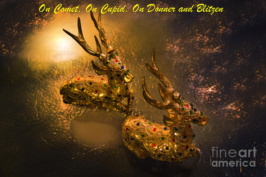 Christmas Card - On Comet, On Cupid, On Donner And Blitzen Photograph by Al Bourassa