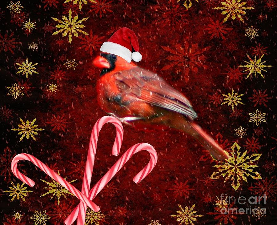 Christmas Photograph - Christmas Cardinal by Barbara S Nickerson