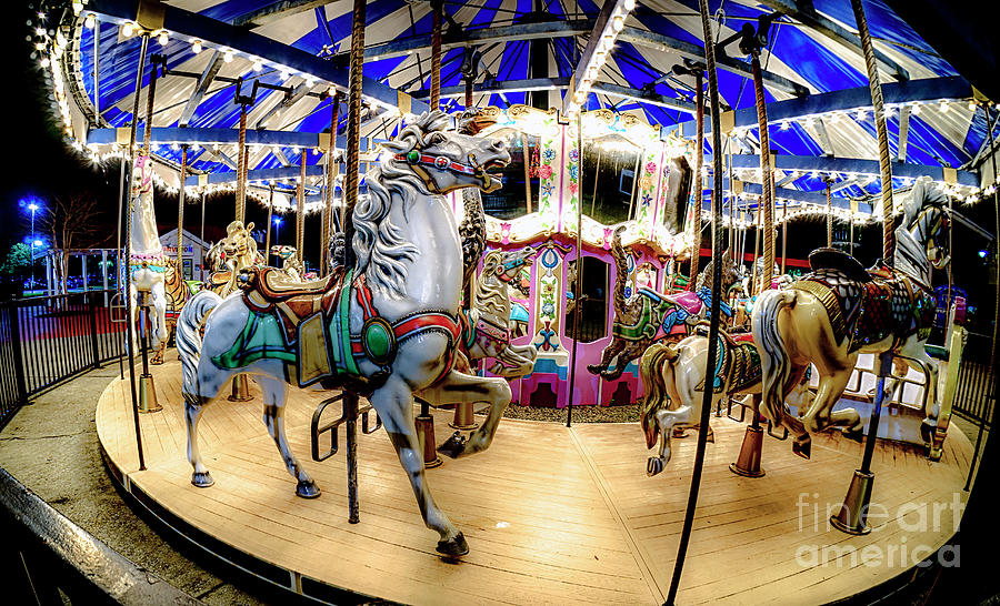 Christmas Carousel Photograph by David Smith