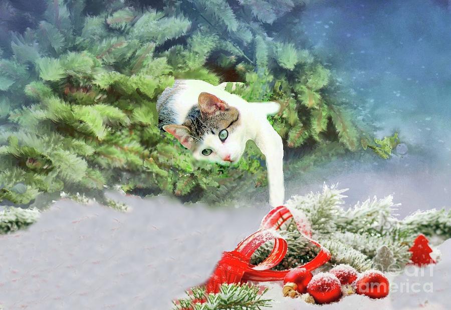 Christmas Cat Photograph by Janette Boyd