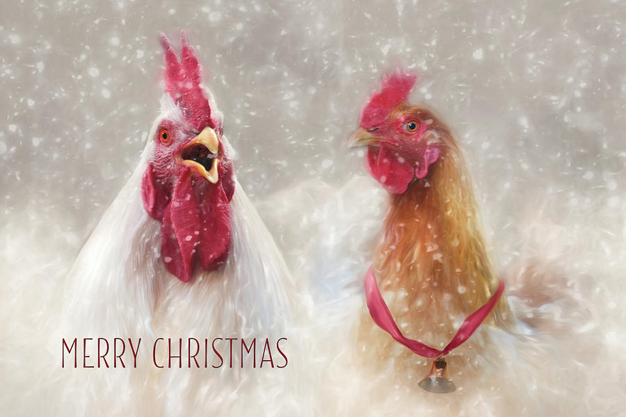 Christmas Chickens Photograph by Lori Deiter