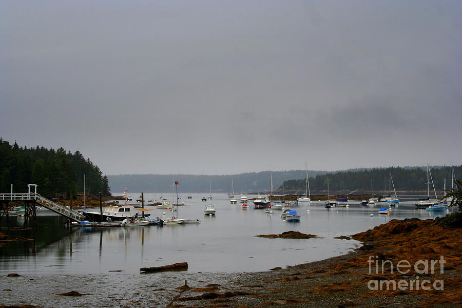 Christmas Cove Photograph by John Kenealy Fine Art America