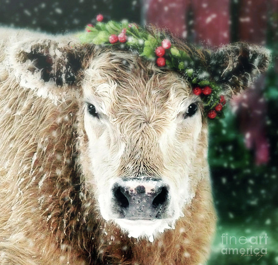 Christmas Cow Photograph by Karen Leigh Studios