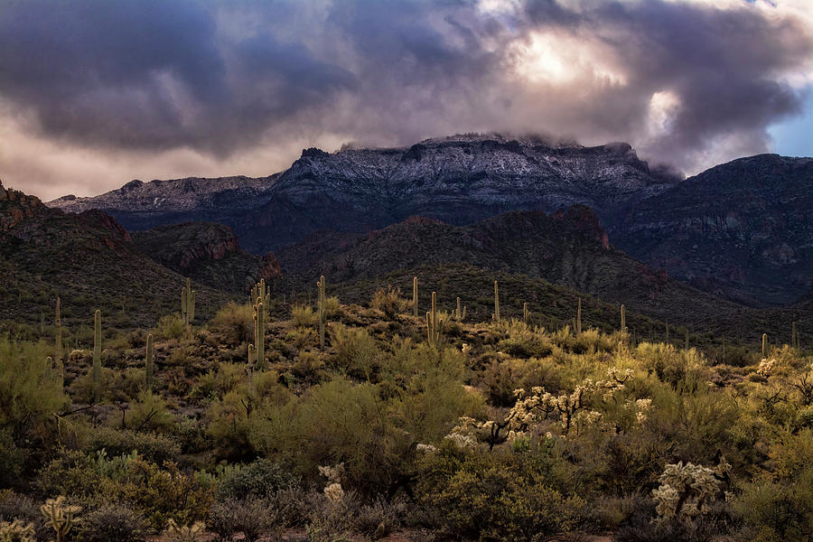 Christmas Day at the Superstitions  Photograph by Saija Lehtonen