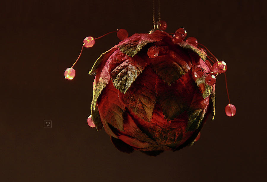 Red, Leafy and Playful  Photograph by Yvonne Wright