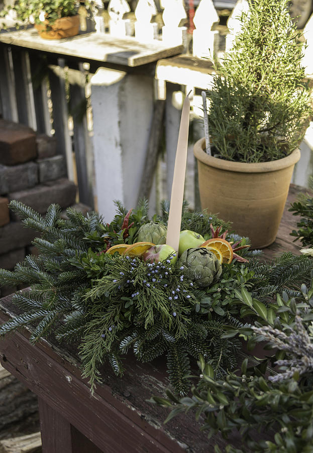 Christmas Decorations at the Colonial Nursery Photograph