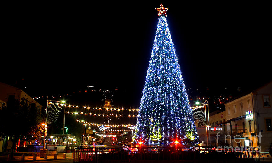 Christmas decorations in Haifa Photograph by Shay Vaknin