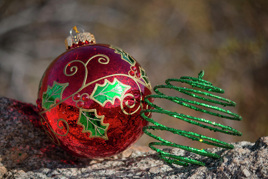 Christmas Decorations in the Desert 2 Photograph by Teresa Wilson