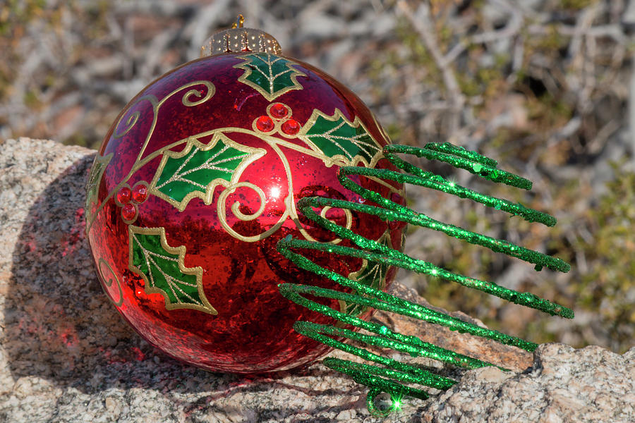 Christmas Decorations in the Desert Photograph by Teresa Wilson