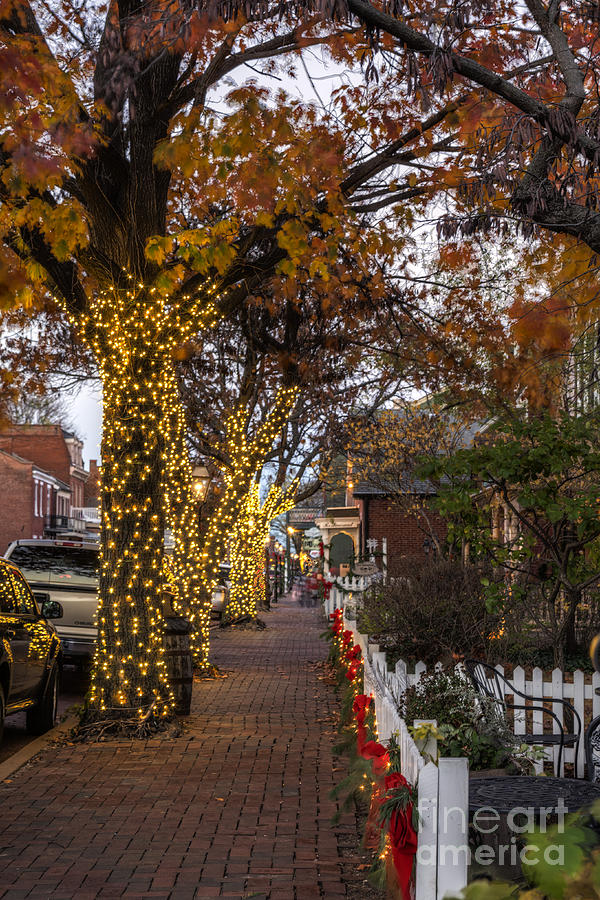Fall Photograph - Christmas Decorations by Larry Braun Fall Photograph - Christmas Decorations by Larry Braun