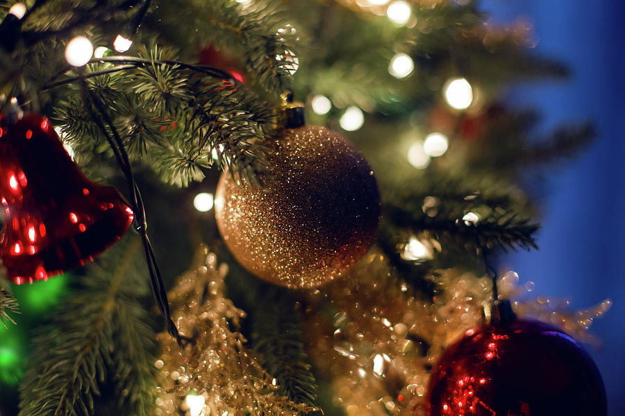 christmas photograph christmas decorations on a big green tree by elena saulich - Big Christmas Decorations christmas photograph christmas decorations on a big green tree by elena saulich - Big Christmas Decorations