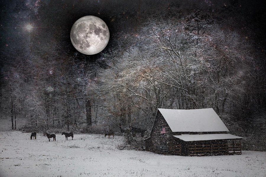 Christmas Eve Moon Photograph by Debra and Dave Vanderlaan