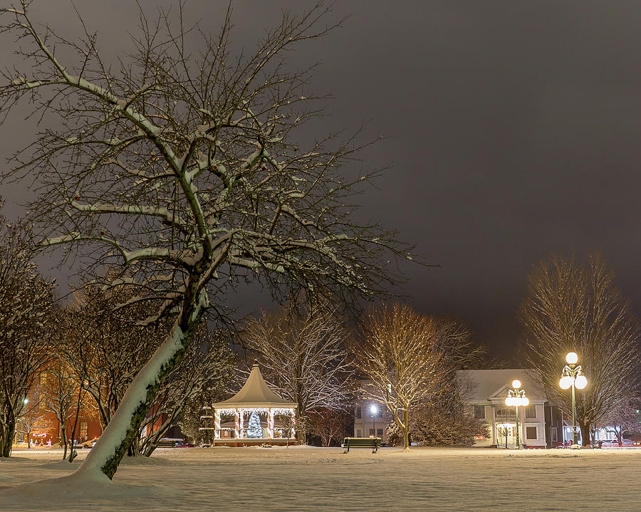 Christmas Evening in the Park Photograph by Tim Kirchoff