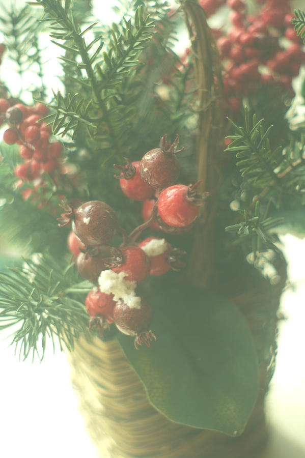 Christmas Evergreen Red Berry Arrangement In A Basket Photograph