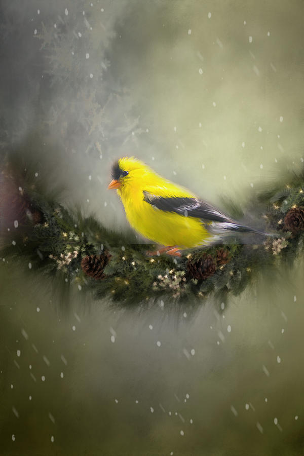 Flower Photograph - Christmas Finch by Mary Timman
