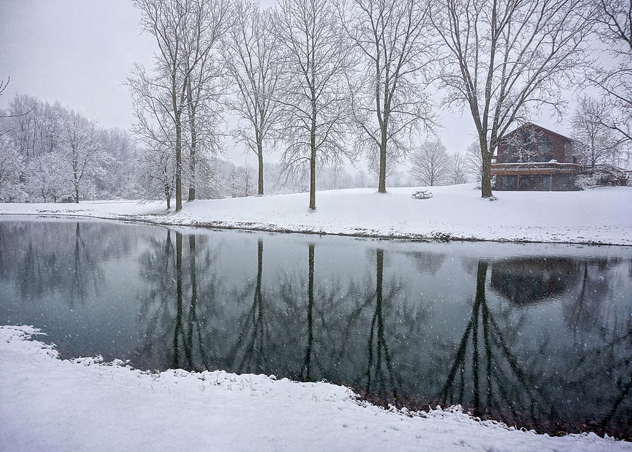 Winter Landsape Photograph by Kathi Mirto