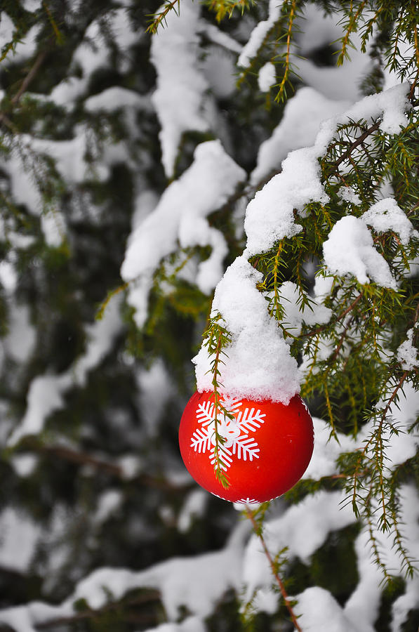 Christmas Photograph - Christmas Greetings 1 by Stanislovas Kairys