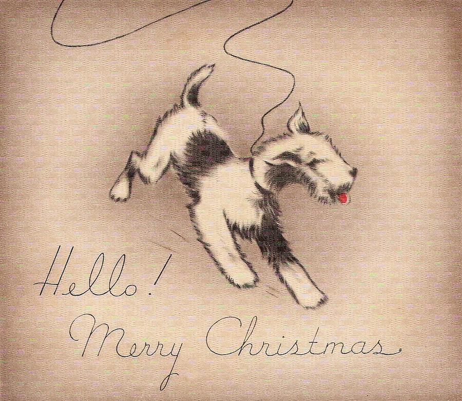 Christmas Greetings 1208 - Vintage Christmas Cards - Little Dog ...