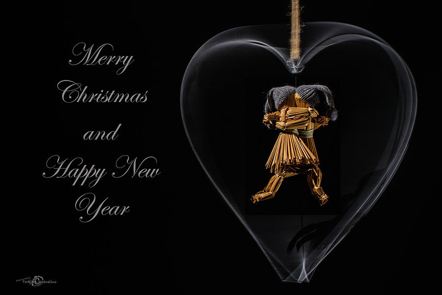 Christmas greetings Photograph by Torbjorn Swenelius
