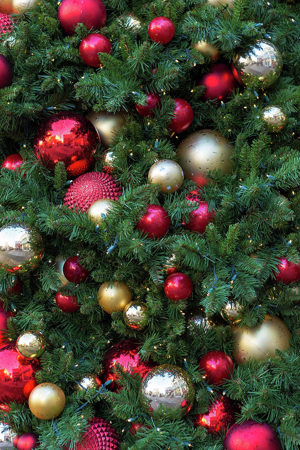 Christmas Photograph - Christmas Holiday Tree Decoration Background by David Gn