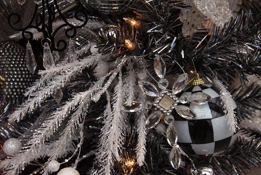 Christmas Photograph - Christmas Holiday tree scene by Panoramic Images