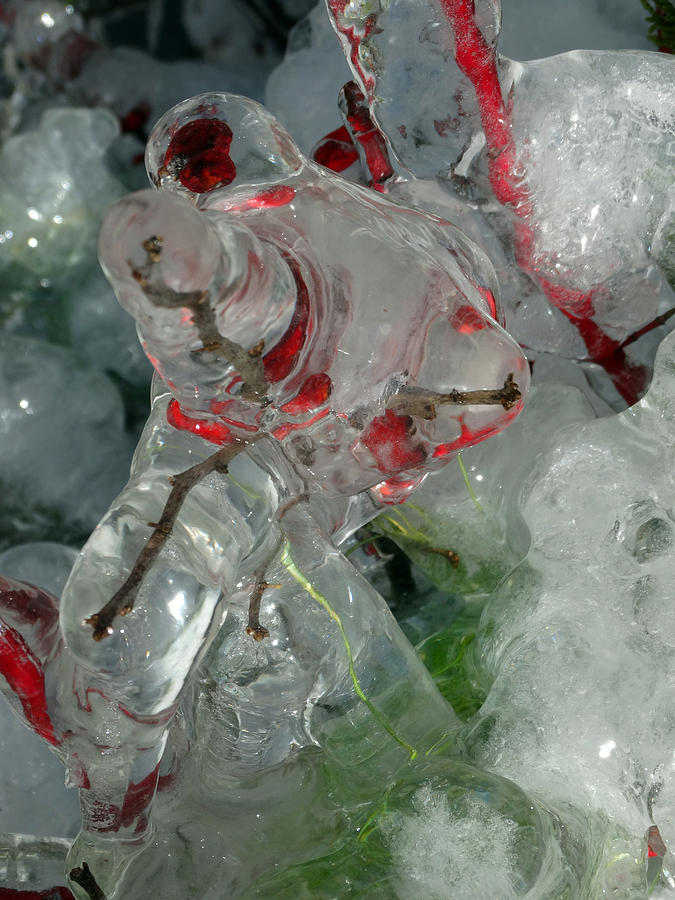 Christmas Ice Abstract Photograph by David T Wilkinson