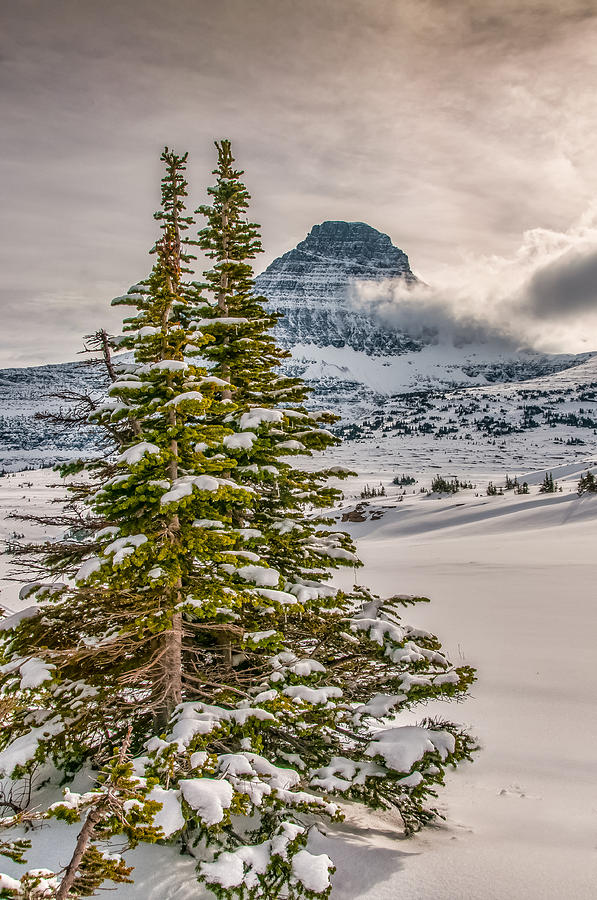 Christmas in Glacier National Park Photograph by Brenda Jacobs