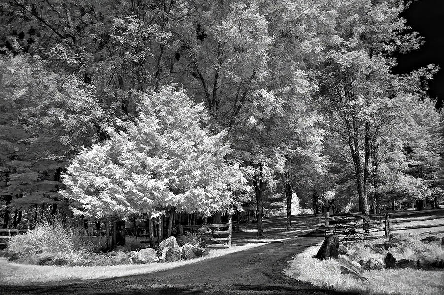 Christmas in July Photograph by Steve Harrington - Fine Art America