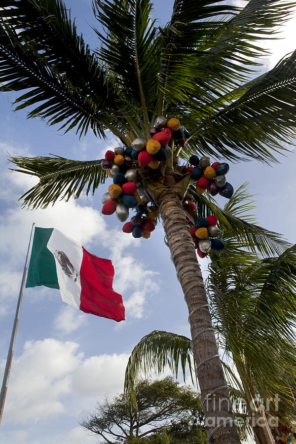 Christmas in Mexico Photograph by Anthony Totah