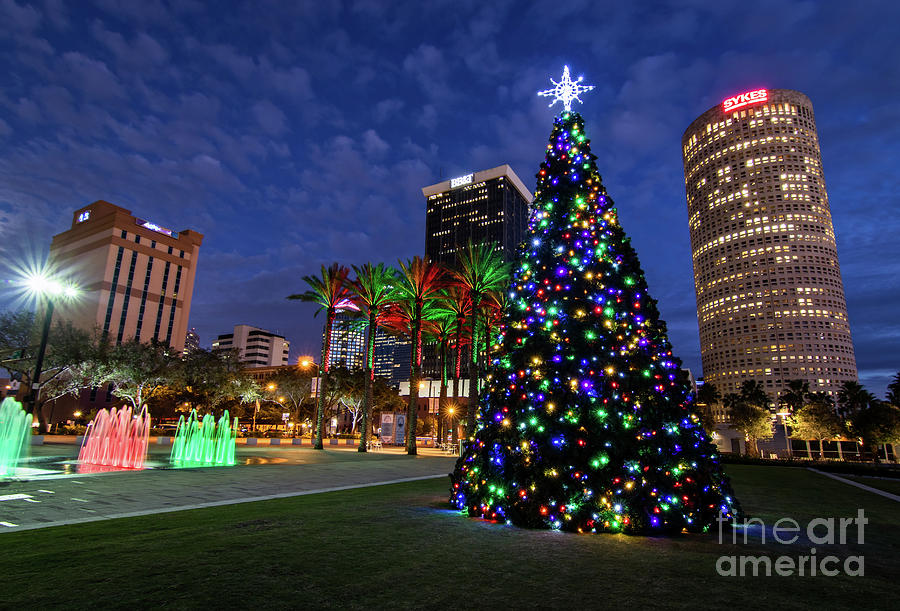 Christmas in Tampa Photograph by Karl Greeson