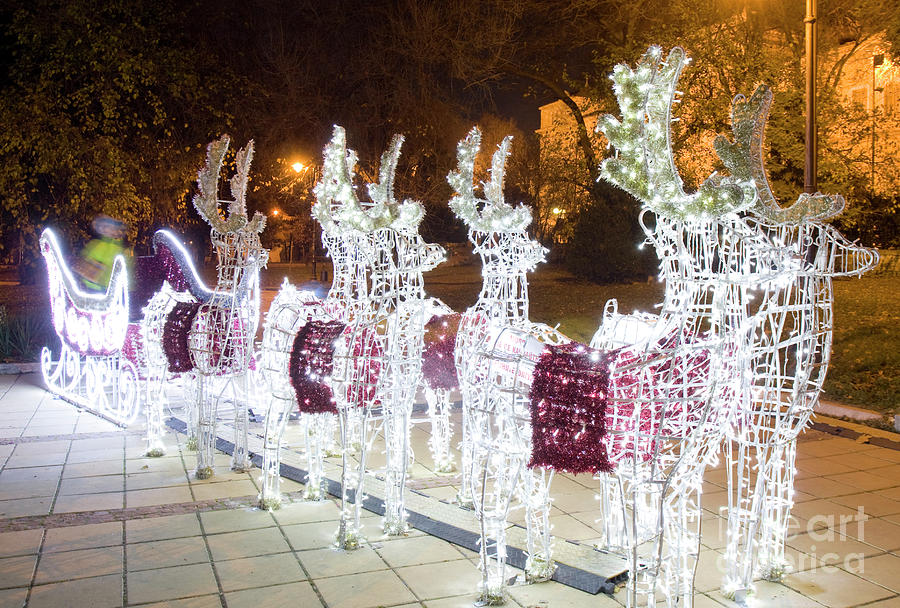 Christmas in Varna Photograph by Irina Afonskaya