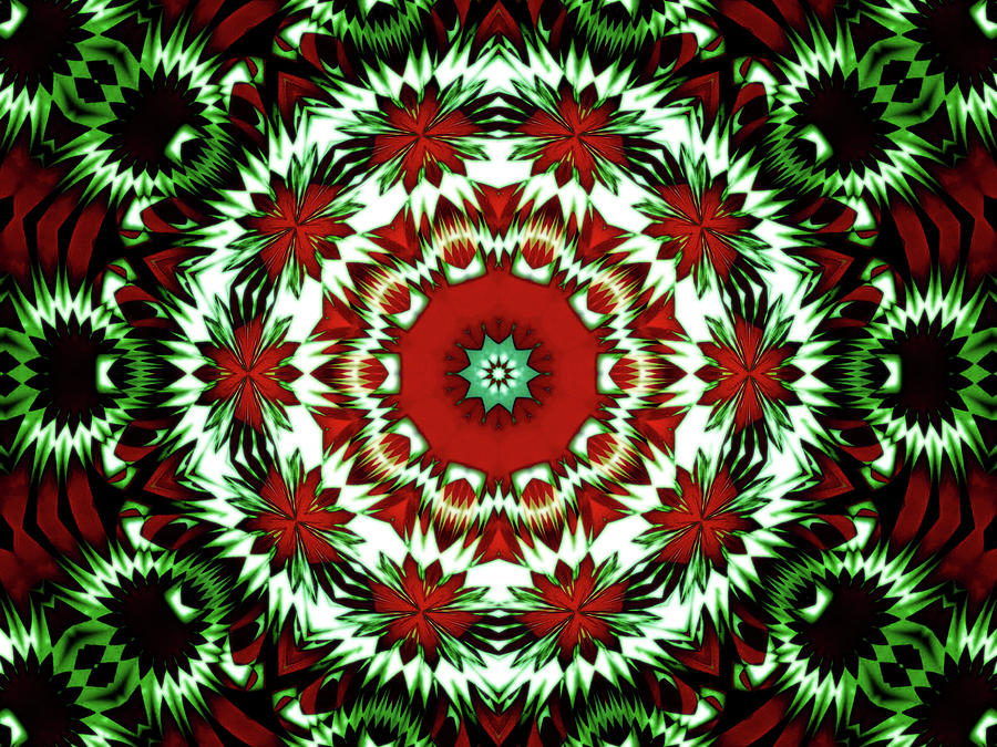 Christmas Kaleidoscope Series-theme 2 Digital Art