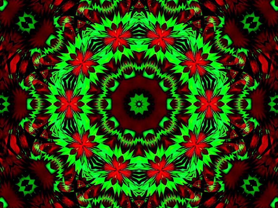 Christmas Kaleidoscope Series-theme 5 Digital Art