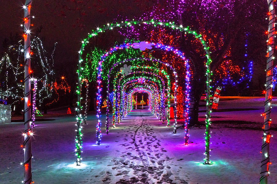 Christmas Light Arches Photograph by Brad Stinson