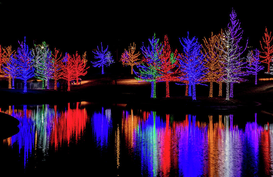 Beautiful Christmas Lights  Photograph by Terry Walsh