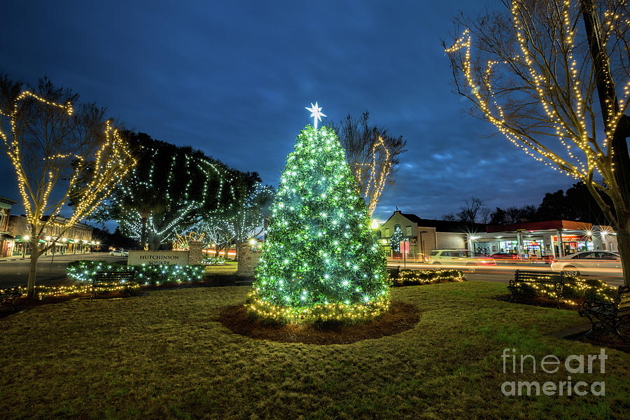 Christmas Light Trails Photograph by Robert Loe
