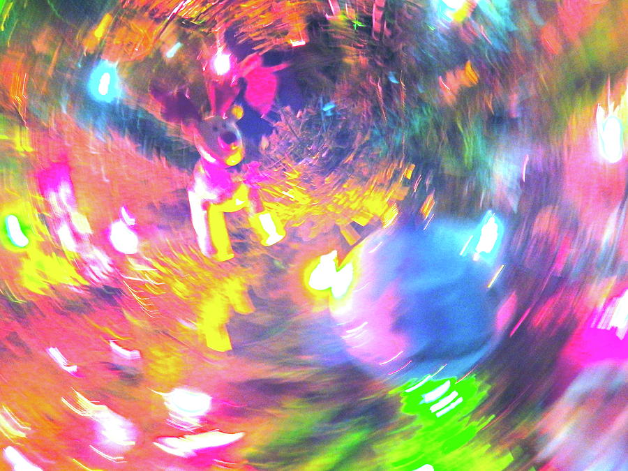 Christmas Lights 48 Photograph by George Ramos