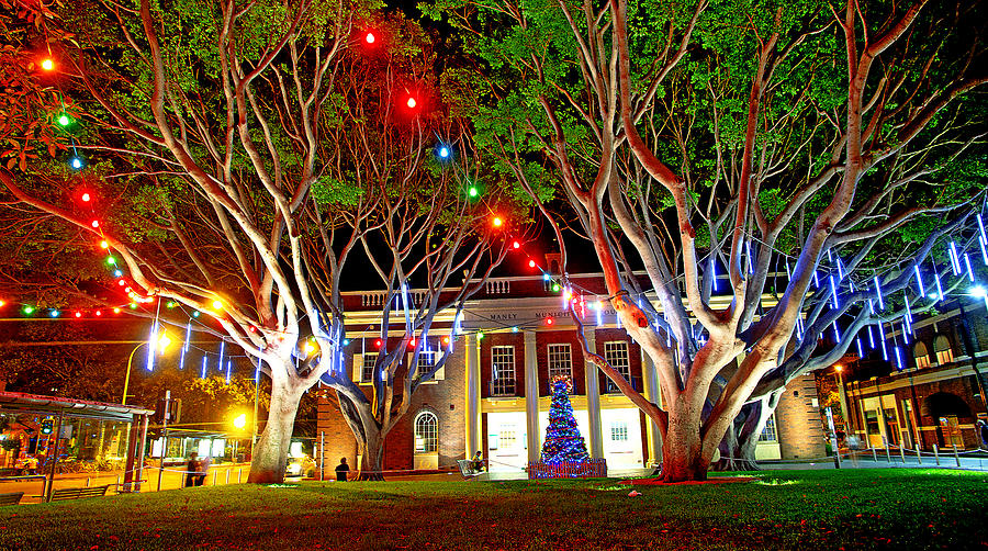 Christmas Lights And Manly Council Photograph by Miroslava Jurcik