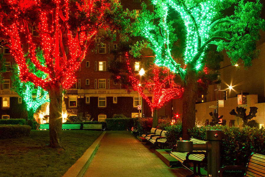 Christmas Lights at Huntington Park Photograph by Bonnie Follett Pixels