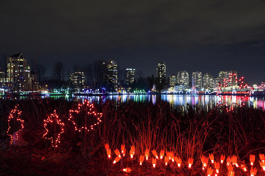 Christmas Lights at Lafarge Lake in City of Coquitlam Photograph by David Gn