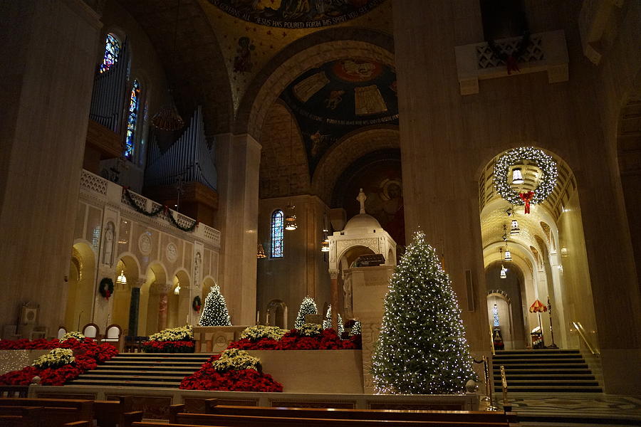 Christmas Lights at the Basilica Photograph by Carrie Goeringer