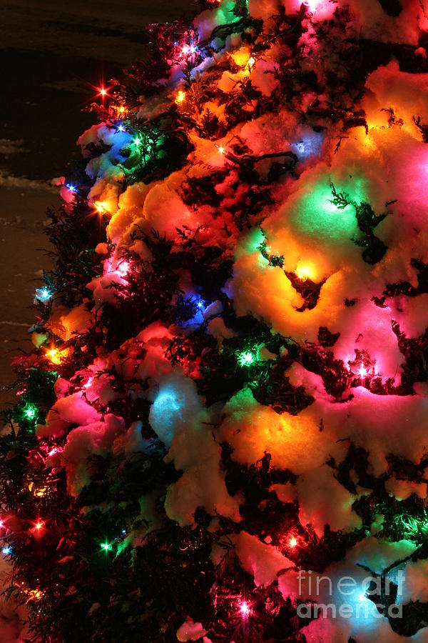 Christmas Lights ColdPlay Photograph by Wayne Moran