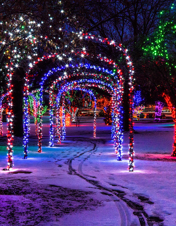 Christmas Lights in the Park Photograph by Brad Stinson