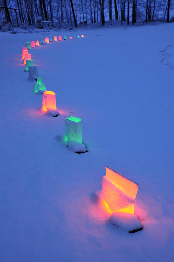 Christmas Lights in the Snow Photograph by David Arment