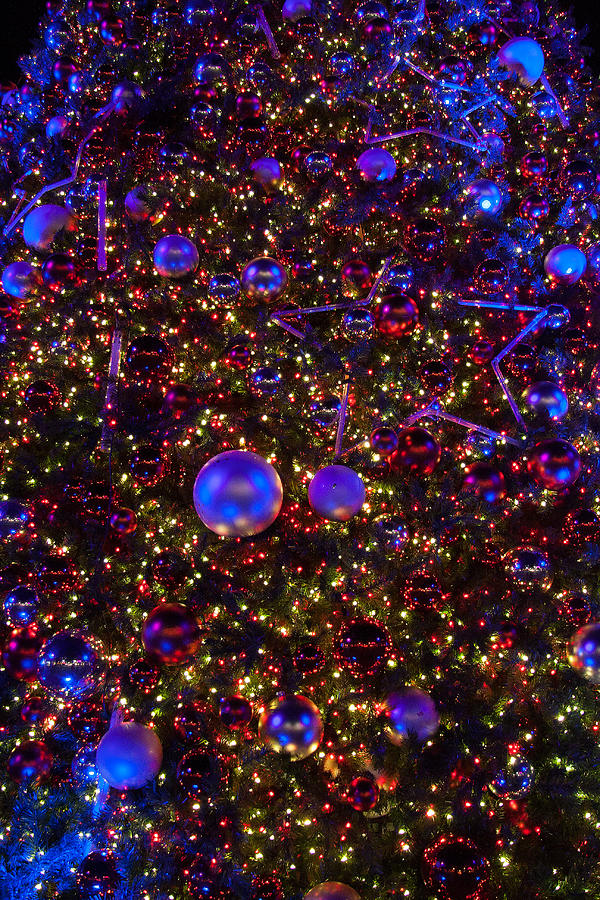 Christmas Lights #1 Photograph by Riccardo Forte