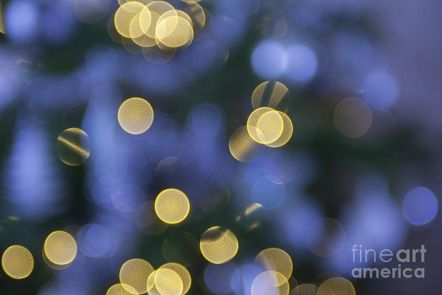 Christmas lights Photograph by Patricia Hofmeester