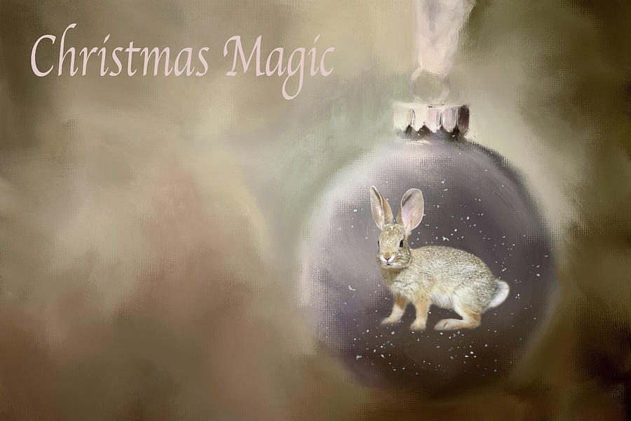 Christmas Magic Photograph by Donna Kennedy