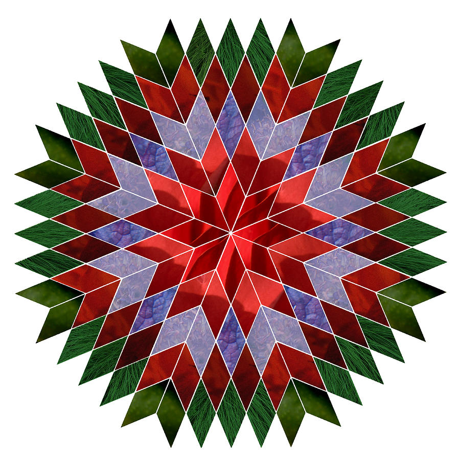 Christmas Mandala Digital Art by Terry Davis