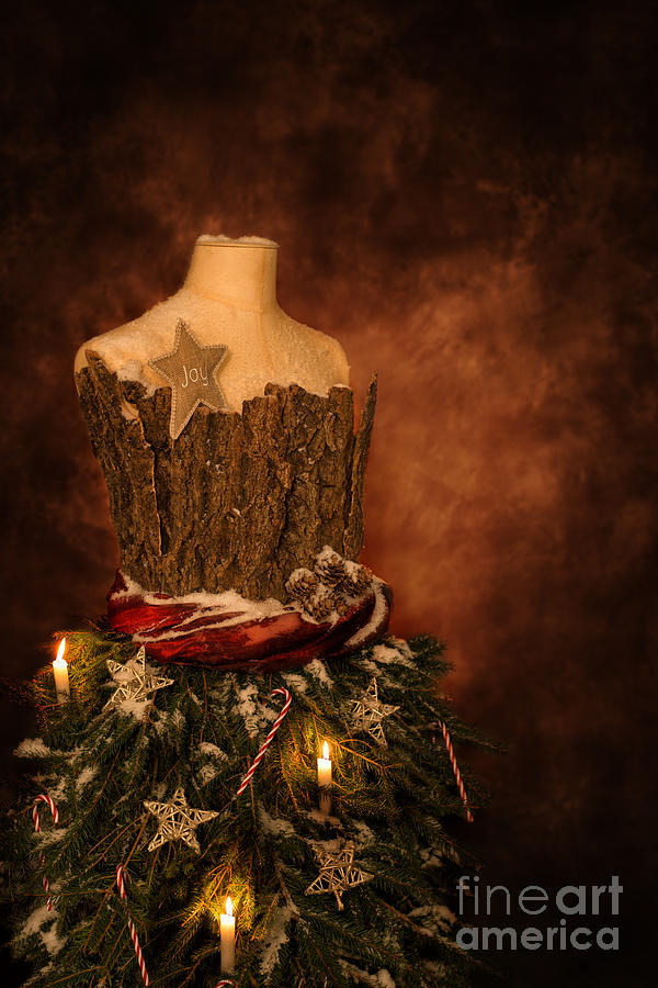 Christmas Photograph - Christmas Mannequin by Amanda Elwell