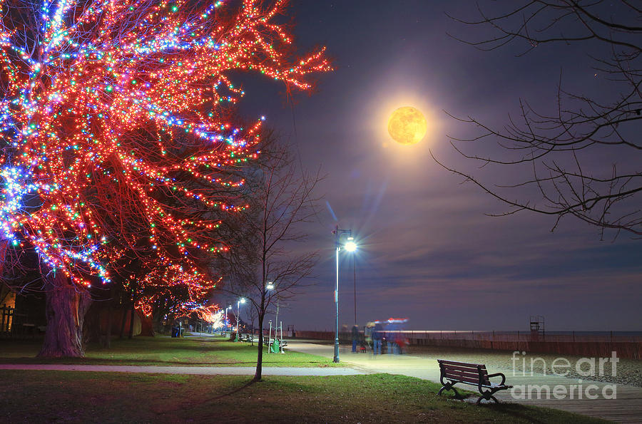 Christmas Moon Watch Photograph by Charline Xia
